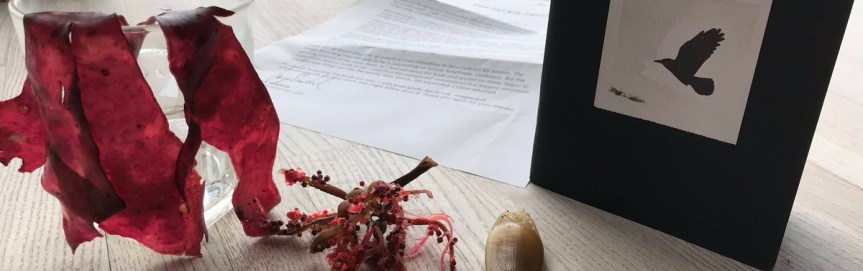 Birds of Firle & Cornish Beach Finds - Credit Sophie Pierce