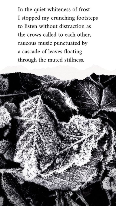 Crow Road 3 by Laine Thompson