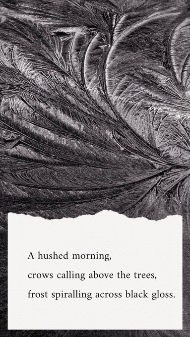 Crow Road 4 by Laine Thompson