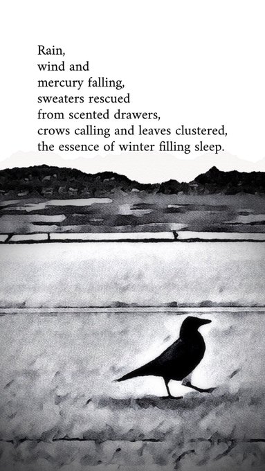 Crow Road 5 by Laine Thompson