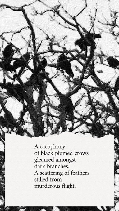 Crow Road 6 by Laine Thompson