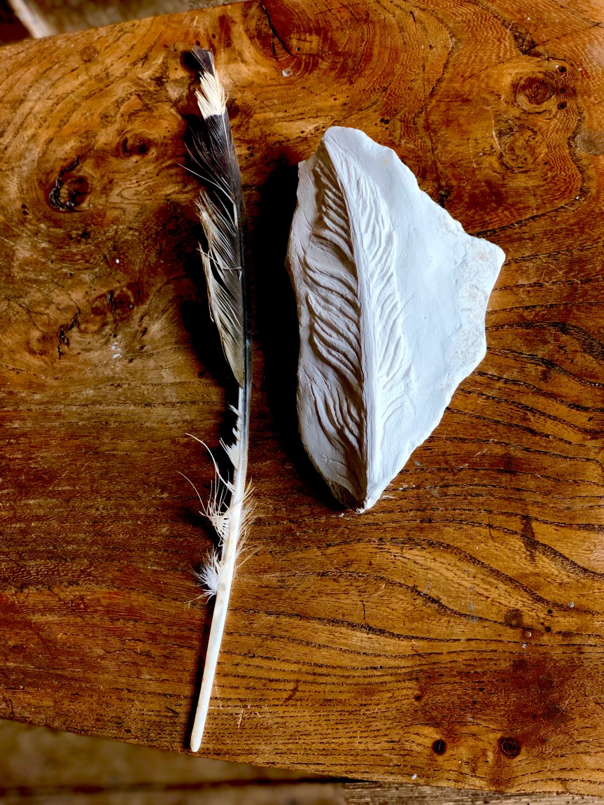 Buzzard Feather Carved in Chalkstone Found Beside It by Jo Sweeting