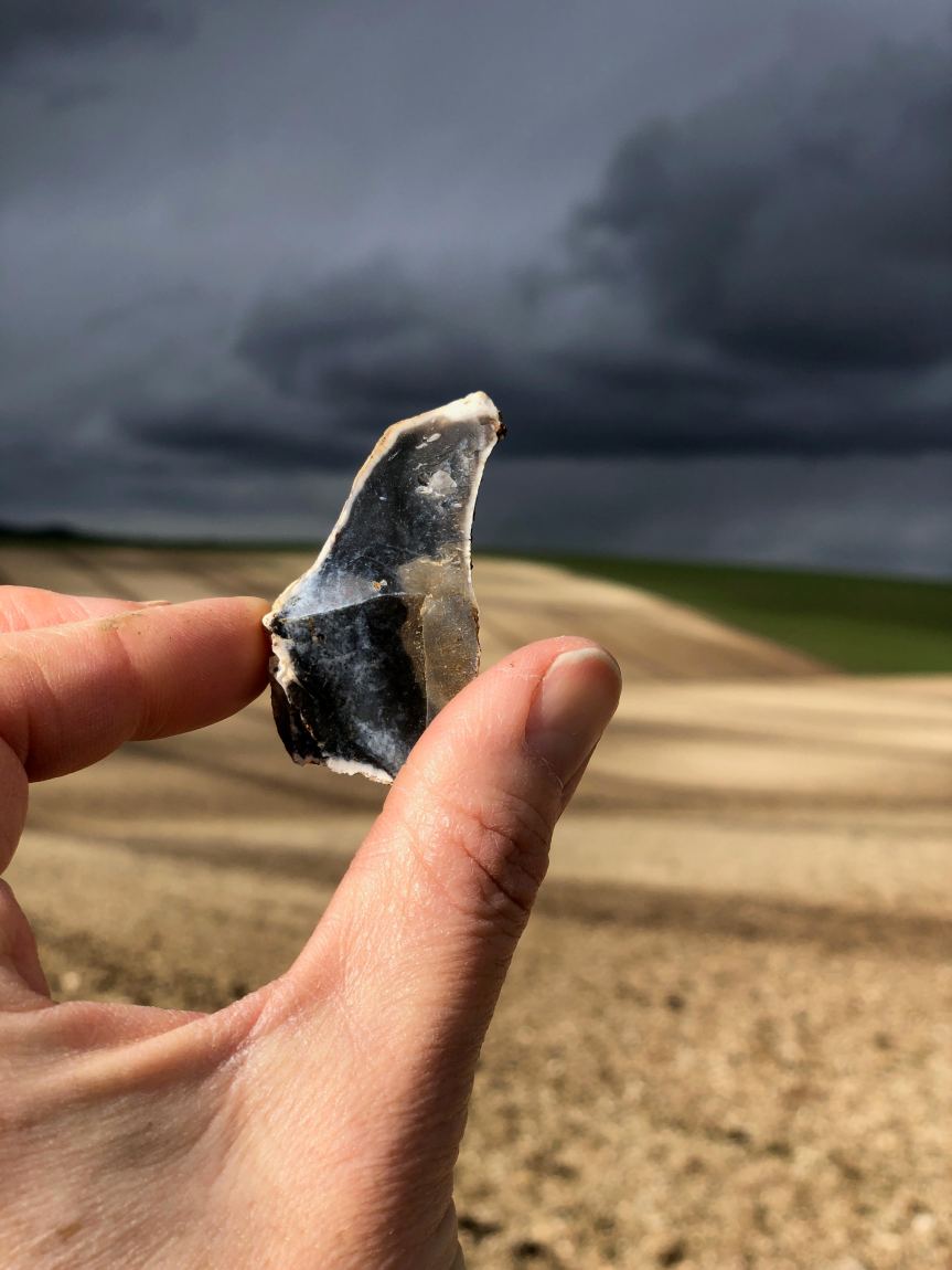 Flint from Book-Field by Jo Sweeting