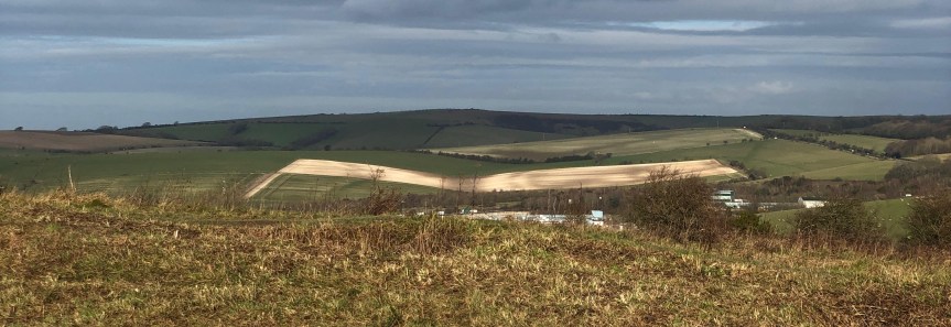 First Sight of the Book-Field by Jo Sweeting