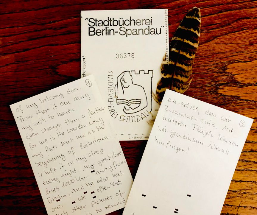 Anja Steinig for Birds of Firle