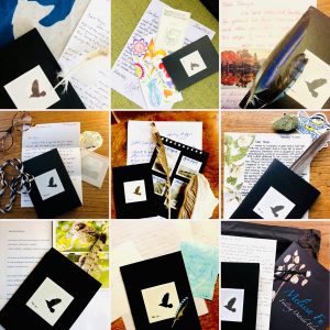 Birds-of-Firle-Colour-Returns-Credit-Tanya-Shadrick-002-300x300